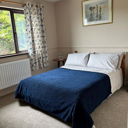 Long View Guest Accommodation Downpatrick Eksteriør bilde