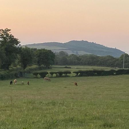 Long View Guest Accommodation Downpatrick Eksteriør bilde