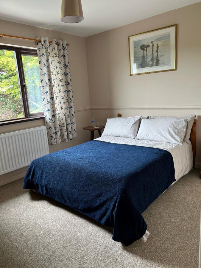 Long View Guest Accommodation Downpatrick Eksteriør bilde