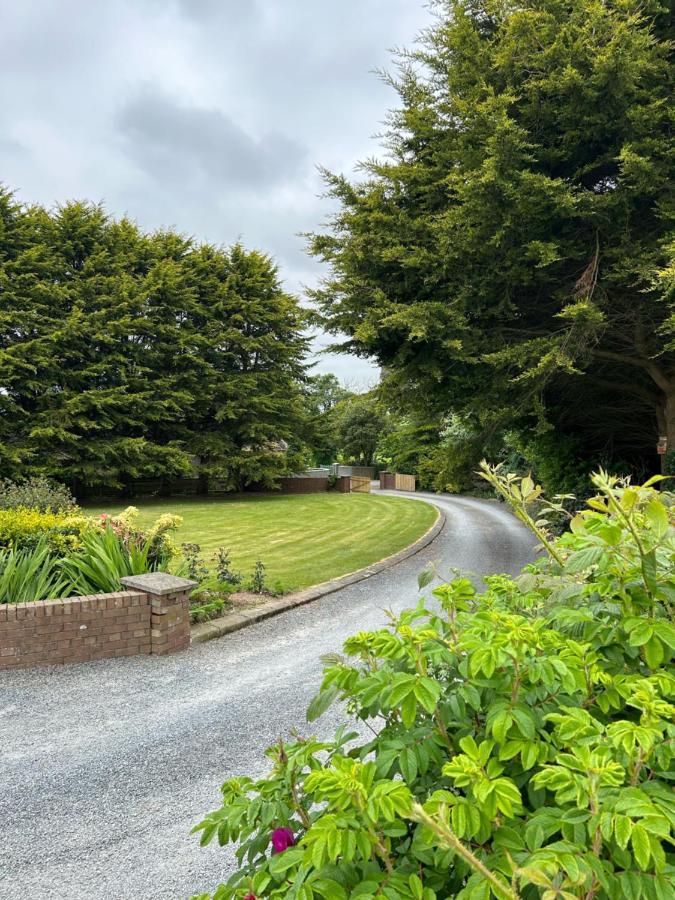 Long View Guest Accommodation Downpatrick Eksteriør bilde